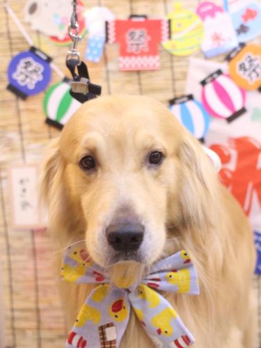 20240709マロンくん